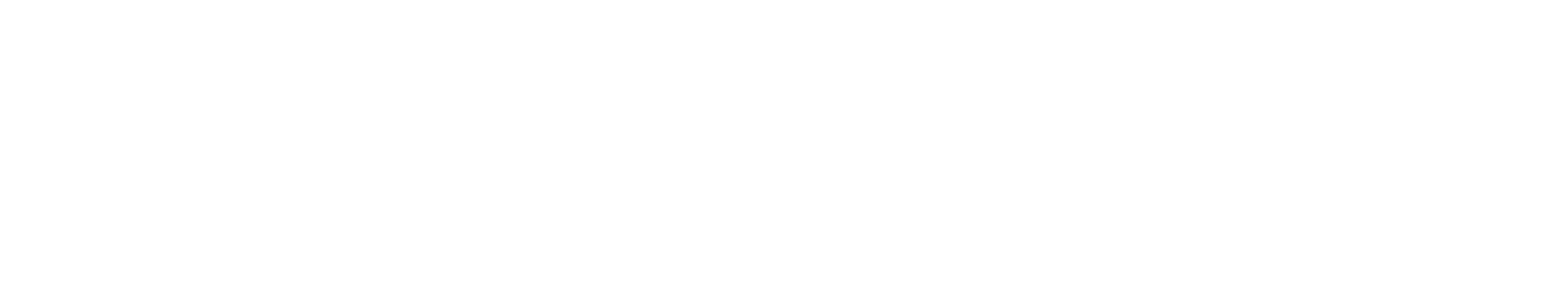 MVC (Web)_white