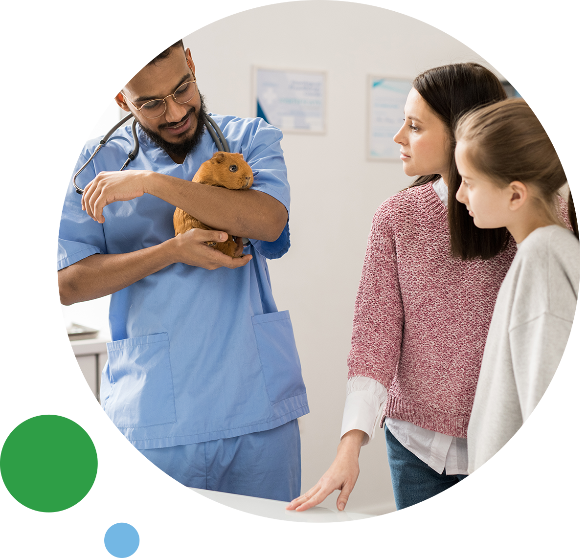 Consultation of vet