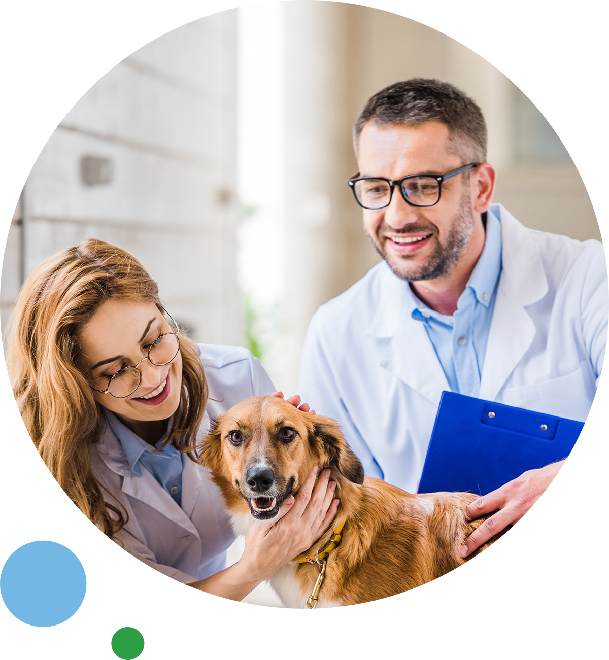 veterinarian
